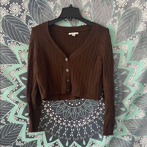 American Eagle Outfitters Brown Sweater